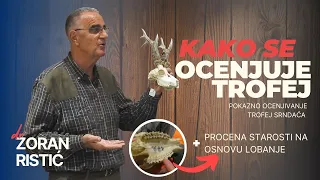 KAKO SE OCENJUJE TROFEJ SRNDAĆA - dr Zoran Ristić