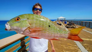 Most EXPENSIVE Fish EVER Caught off Pier! Catch Clean Cook (Juno Pier Fishing)