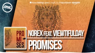 DNZF325 // NOREX FEAT. VIEWTIFULDAY - PROMISES (Official Video DNZ RECORDS)