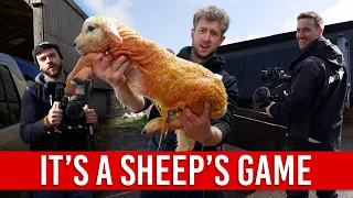 FARMFLIX DOES THE SHEEP GAME WITH CAMMY!!!... BEHIND THE SCENES | Rachel, Ryan & Conor