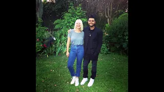 Sia Feat. The Weeknd - Elastic Heart (Stems Rework/Hidden Vocals)