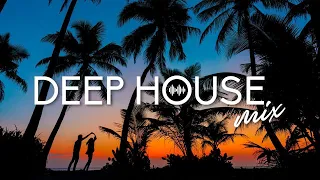 Avicii, Calvin Harris, Kygo, Alok, Robin Schulz, David Guetta, Gryffin - Summer Vibes Mix #414