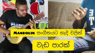 Malata Suwada Se|(Sunil Edirisinghe)- Mandolin VS Spoon Cover|RandikaV & SachinK