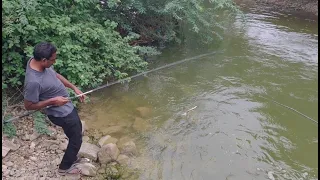 Fishing videos 🎣|| how to catch eel fishes 🐟🐟?|| Small hook fishing videos 🎣||incredible fishing||