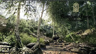Most realistic forest ever? (CRYENGINE) Relaxing Ambient Walk in Kingdome Come: Deliverance