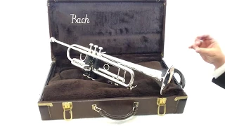 Bach Stradivarius Model 37 trumpet review