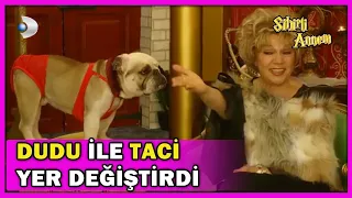 Dudu ile Taci YER DEĞİŞTİRDİ! - Sihirli Annem Özel Klip