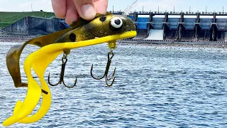 Using CRAZY Lures for River MONSTERS!