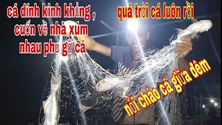 Hai Tay Lưới Làm Nên Chuyện Lớn , Lưới Cá Sác Cuốn Về Gỡ Cá & Nồi Cháo Cá Sác # SĂN BẮT ĐỒNG THÁP #