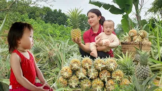 Harvest Pineapple Goes to the market to sell & Cooking Minced Meat Porridge for two children to eat
