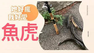 溪邊走走 魚虎很瘋 ｜輕鬆騎車小搞搞～