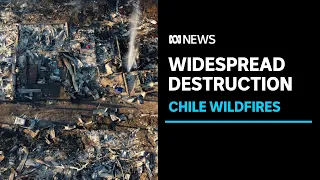 State of emergency declared as wildfires rage across central Chile | ABC News