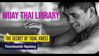 Muay Khao Legend Panomtuanlek - Secrets of Tidal Knees (trailer, 1 hr 40 min) | including my notes