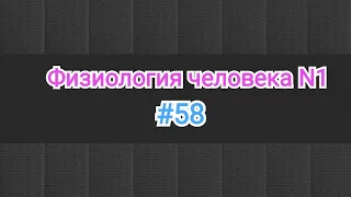 Физиология крови. Резус фактор. Резус несовместимость  мать- плод. Наследование группы кровы.