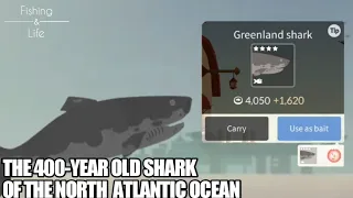 Fishing Life #16 | Catching Greenland Shark"Sleeper Shark" | The Elder Shark of the North Atlantic