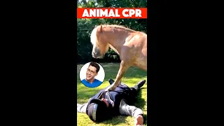 Doctor Rates Animals Performing CPR