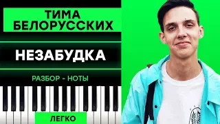 Тима Белорусских - Незабудка - Легко на Пианино