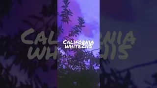 White2115~California ( slowed +reverb )