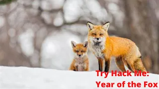 Try Hack Me: Year of the Fox