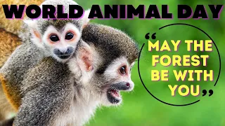 World Animal Day 2021 | World Animal Day October 4 | World Animal Day Speech In English