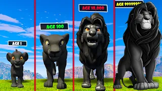 Growing Smallest Black LION into Biggest Black LION in GTA 5! SIMMBA THE LION KING