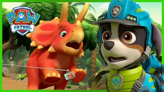 Dino Pups Save a Triceratops 🚨+ More Cartoons for Kids | PAW Patrol