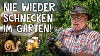 Schneckenfalle selber bauen! 🐌 - Schnecken bekämpfen mit Bier - Hausmittel im Test