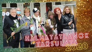 Átadták a Halhatatlanok Társulata 2020-as tagjainak lábnyomát a Pesti Broadway-n!🎭