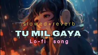 Mind Relaxing | New lo-fi song | SLOWED+REVERBED | TU MIL GAYA | New song 2024 #lofisong  #music