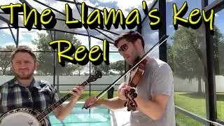 The Llama's Key Reel  (From Colin Farrell's Tune a day 2020)