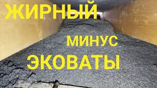 Эко Вата. Отзыв. Огромный минус ЭкоВаты.