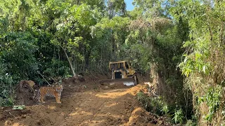 Reviving Mountain Roads Holds Mystery With CAT D6R XL Bulldozer