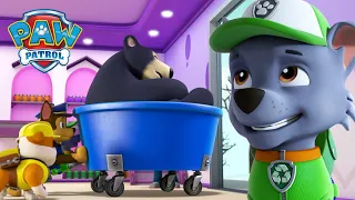 Pups rescue a sleeping bear family and more animals! - PAW Patrol UK - Cartoons for Kids