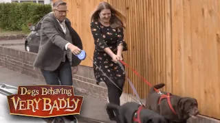 Dogs Behaving Very Badly - Series 1, Episode 1 | Full Episode