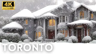 The Snow Storm Mayhem in Toronto: A Winter Walk Through the Heart of the Blizzard!