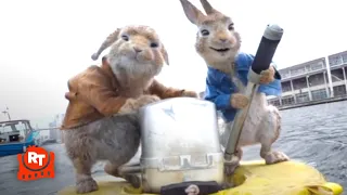 Peter Rabbit 2: The Runaway - Saving the Animals Scene