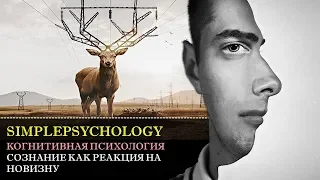 Когнитивная психология сознания #65. Сознание как реакция на новизну в экспериментах Дж. Пани