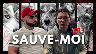 Ce chien n'est pas sorti pendant deux ans ! - Sauve-moi Ep 1