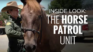 An Inside Look at the Horse Patrol Unit | The Daily Signal