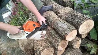 Stihl MS 241c-m работа пилой и сброс настроек m-tronic 1,0/ saw operation and reset m-tronic ver 1.0