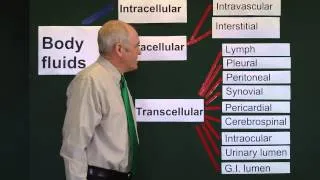 Body fluids 1, Fluid compartments