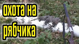 ОХОТА НА РЯБЧИКА С МАНКОМ, РАННЕЙ ОСЕНЬЮ. Налетают вплотную!!!