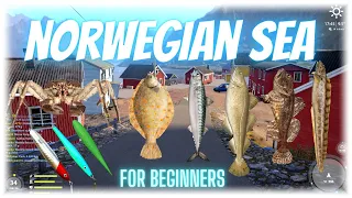 Russian Fishing 4 Norwegian Sea For Beginners