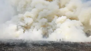 Лесной спецназ отстаивает деревню. Забайкальский край. Дальний Восток.