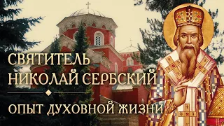 Встреча восьмая. Опыт духовной жизни святителя Николая Сербского