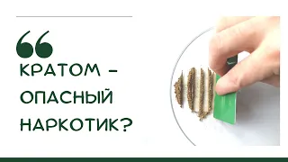 Кратом - опасный наркотик?