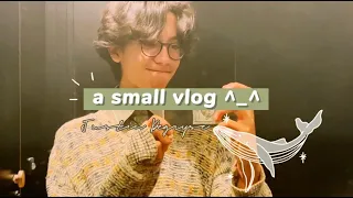 a small vlog - Justin degryse*̥˚✧