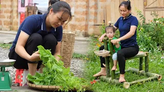 Harvesting Erythropalum Scandens Goes to market to sell - Make Toys For Children | Lý Phúc A