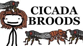 Cicada Broods (Sam O'Nella reupload)