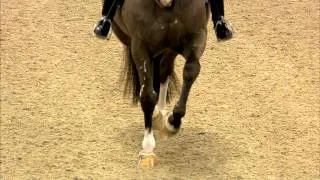 CDI-W Amsterdam 2015 - Charlotte Dujardin et Valegro